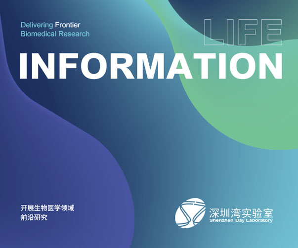 ?投資公司logo設計從品牌戰(zhàn)略到價值信任的深度思考